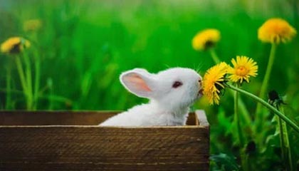 九游娱乐app下载-C罗在训练中完成倒钩技惊四座，c罗倒钩什么水平